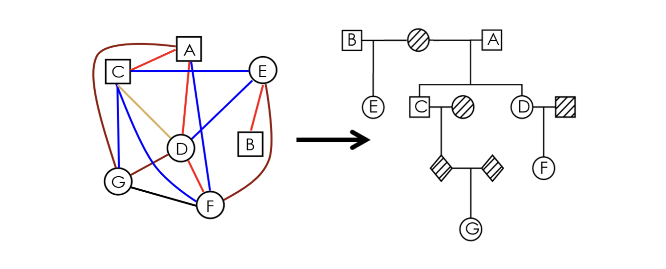 COMPADRE visualization