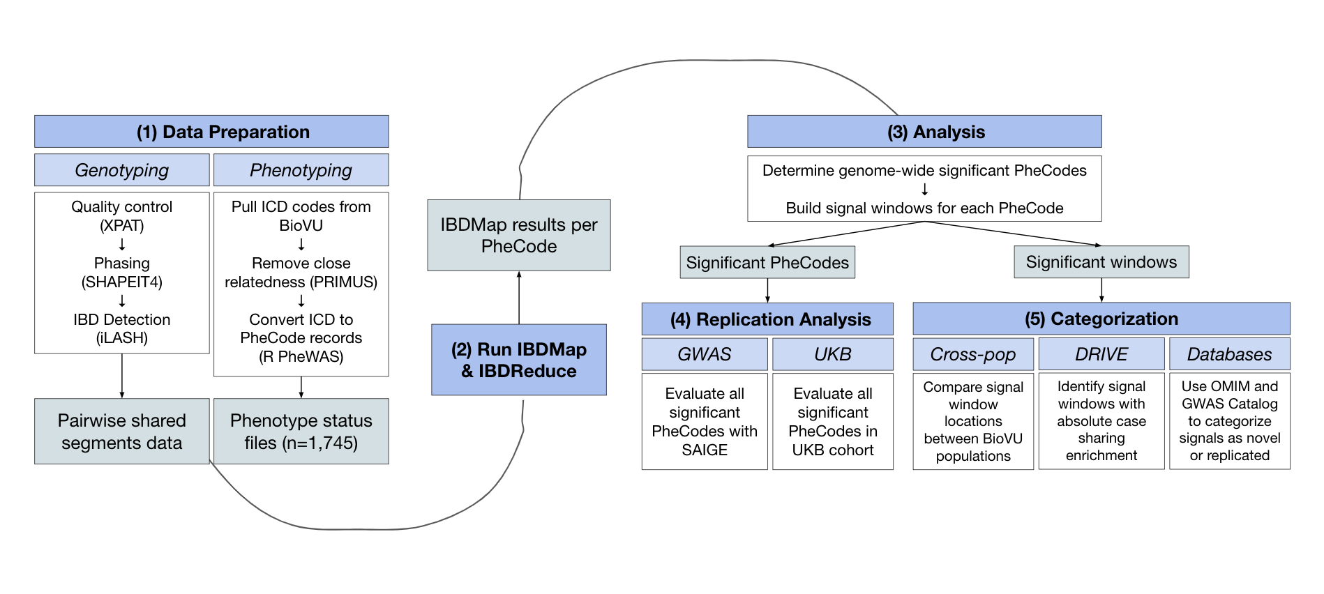 IBDMap visualization